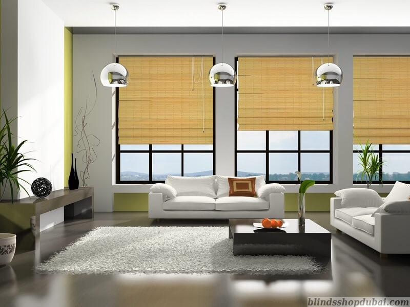 Blackout Blinds