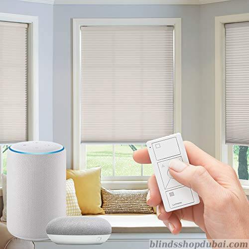 Smart Blinds