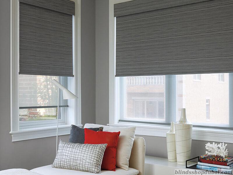 Window Shades 3